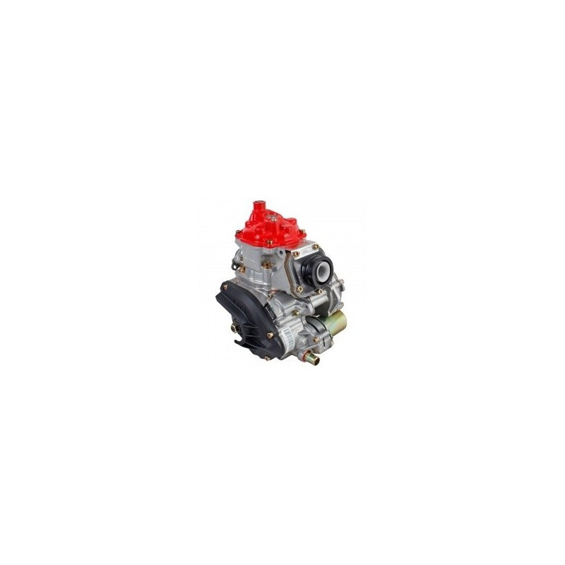 ROTAX 125 MINI MAX FFSA - MINIME