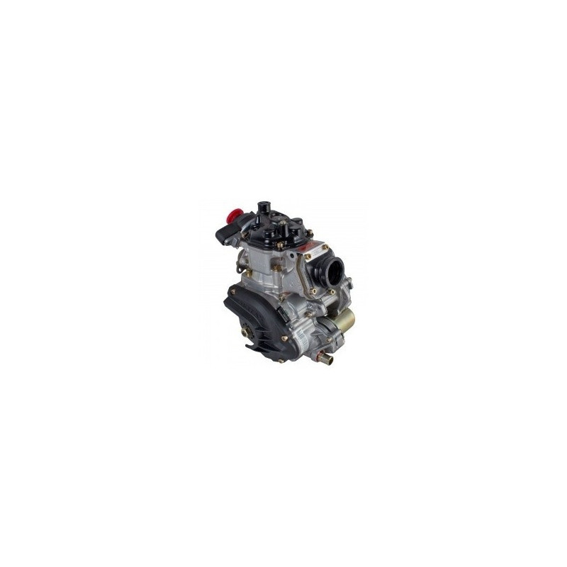 ROTAX 125 MAX RACING