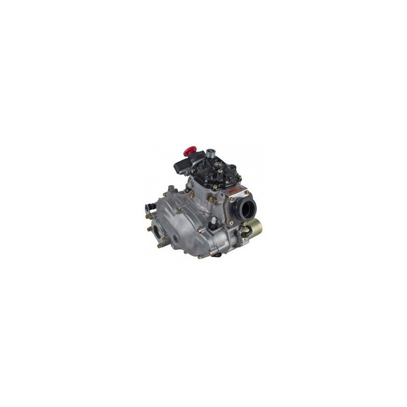 ROTAX 125 MAX DD2
