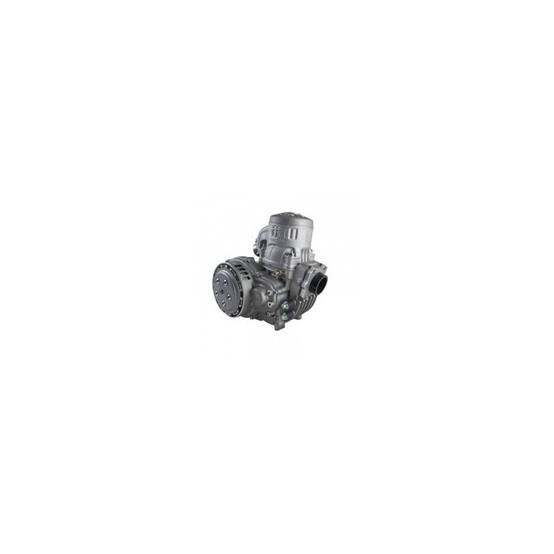 MOTEUR TM 125 KZ10B