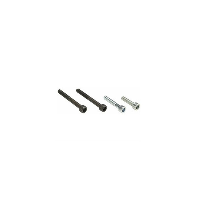 Vis CHC  (lot de10)
