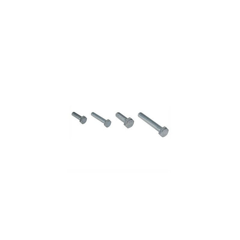 Vis TH  (lot de10)