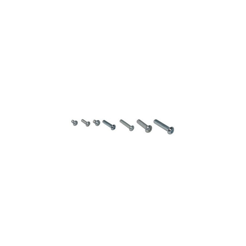 Vis BHC (lot de10)