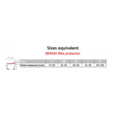 OMP KS-1 Pro le meilleur des protèges-cotes homologué FIA